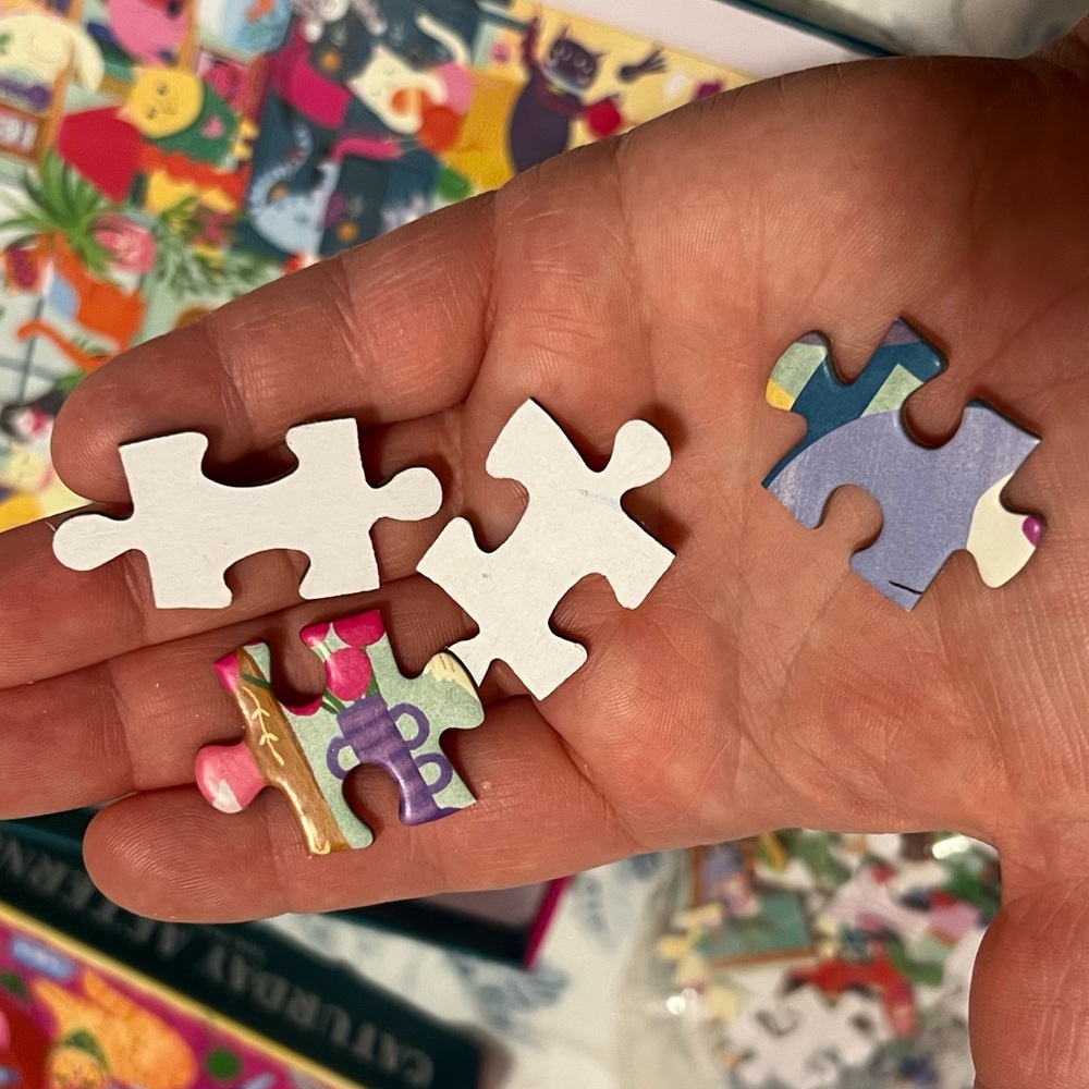 500 π§© Caturday Puzzle - Mudpuppy jigsaw puzzle - Picture 5 of 5